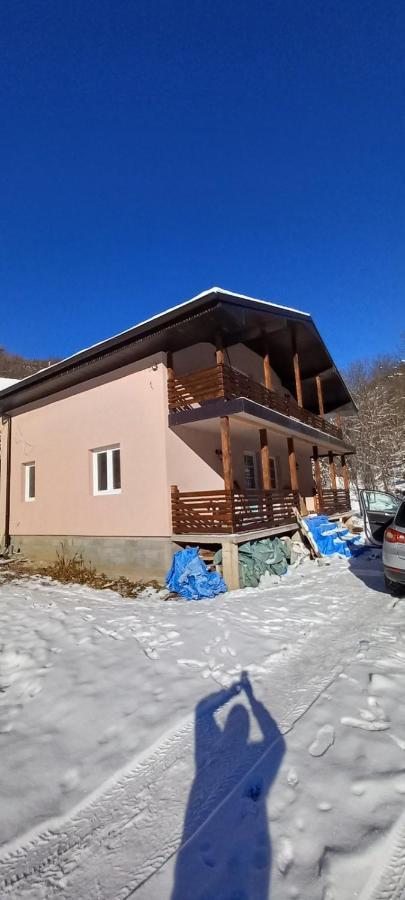 Vila Nika Crni Vrh Экстерьер фото